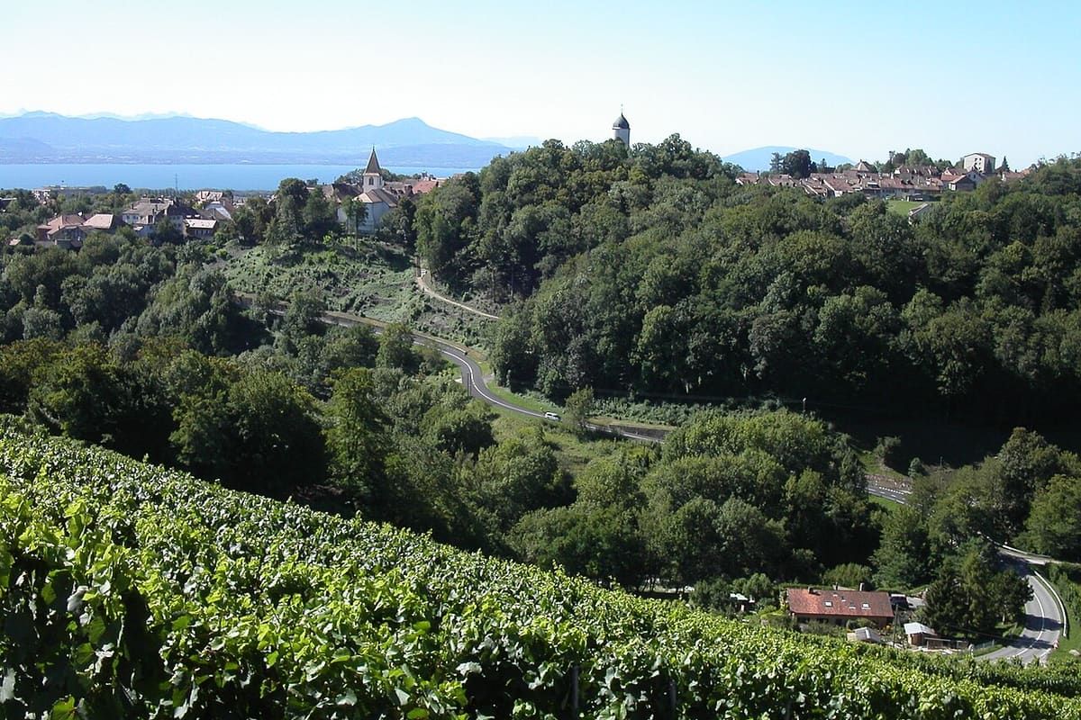Vue de Aubonne
