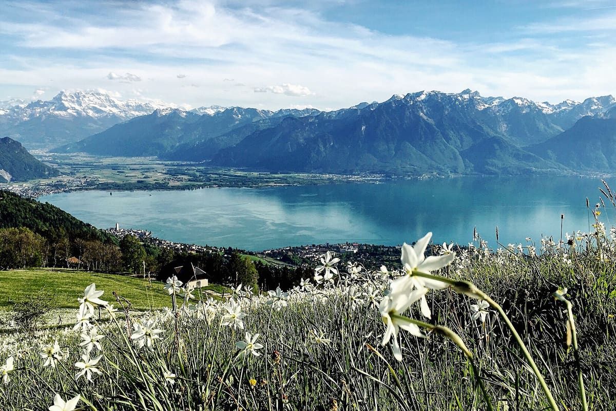 Vue de Montreux